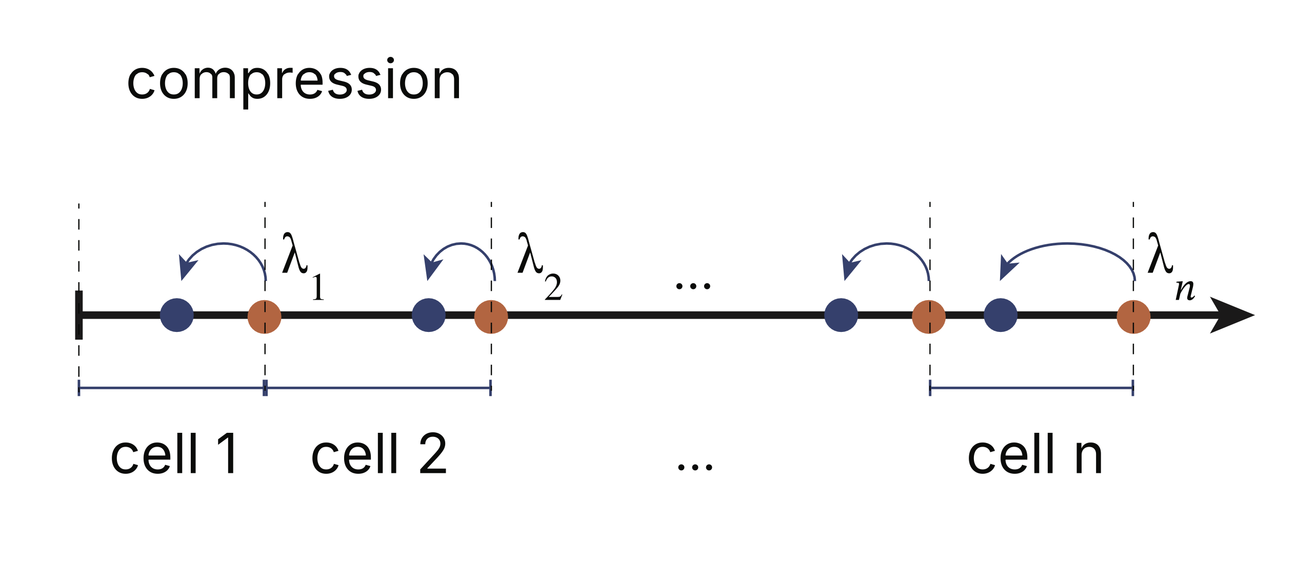 Eigenvalue
interlacing under stretch and compression